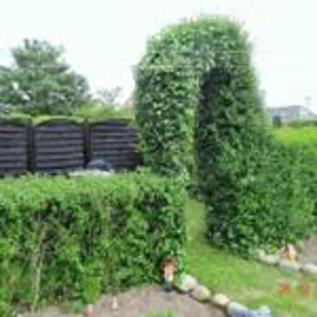 شقة Mueller Sukow (Ludwigslust-Parchim)