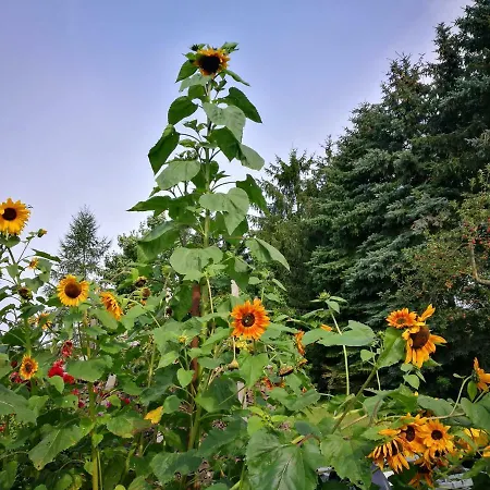 Mueller * Sukow (Ludwigslust-Parchim)